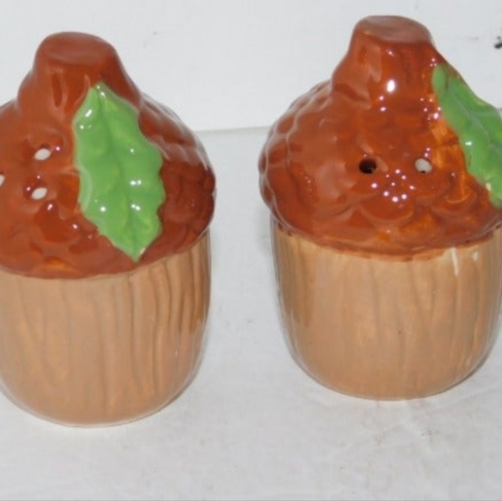 Acorns Fall Party Salt Pepper Shakers